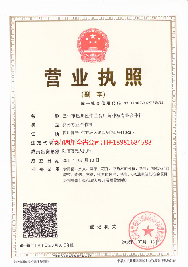 兴宁兴宁伟兰食用菌种植专业合作社